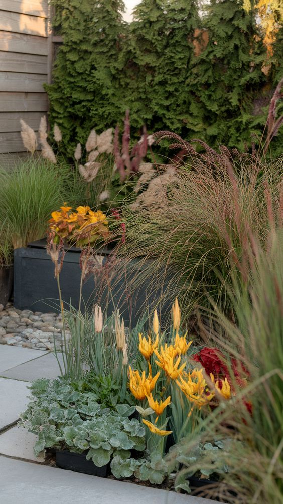 Creative Garden Design Ideas for Every Season, Style, and Budget